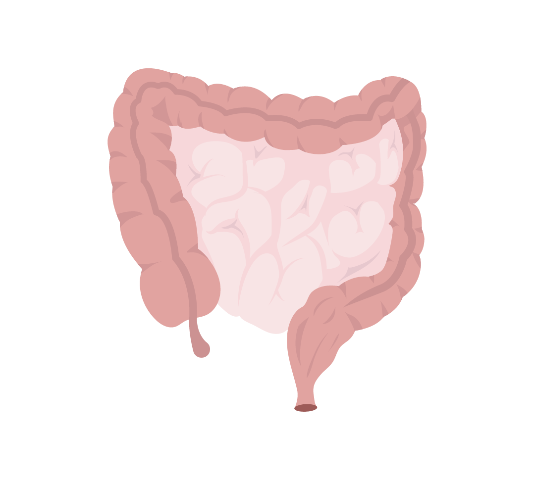 Colorectal Protocol