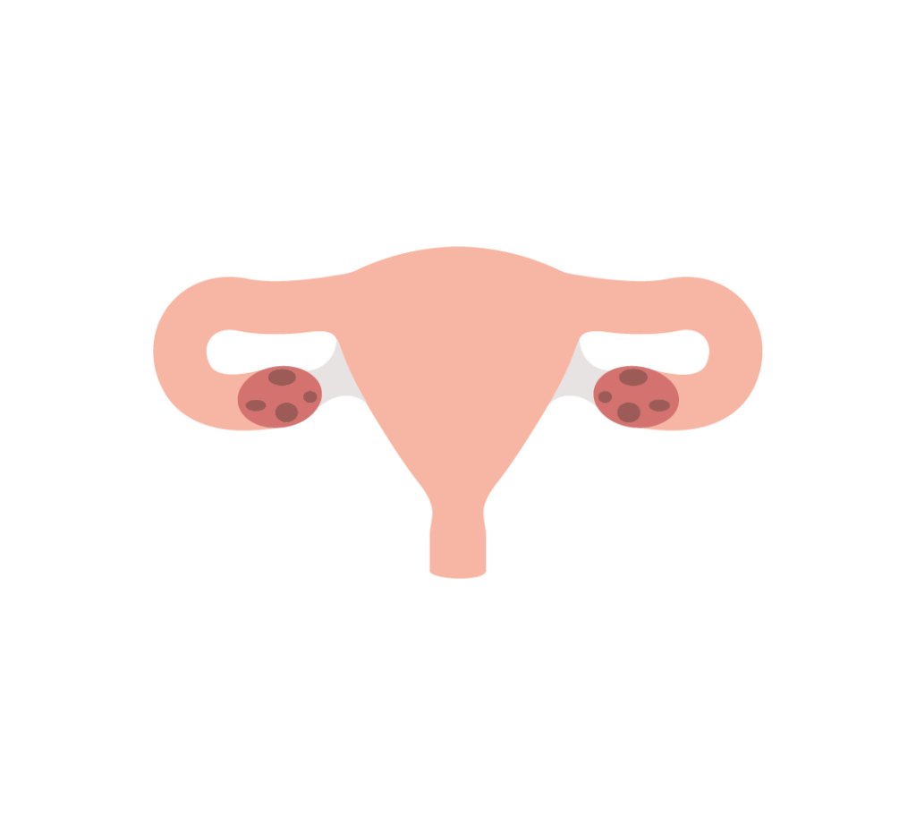 Gynecology Protocol