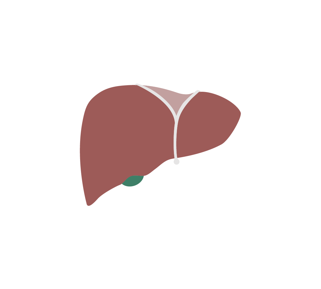 Illustration of Encare's Liver Protocol