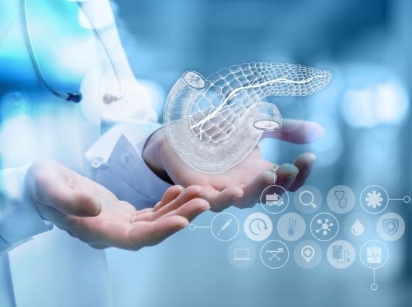 Pancreas protocol blog 4 3